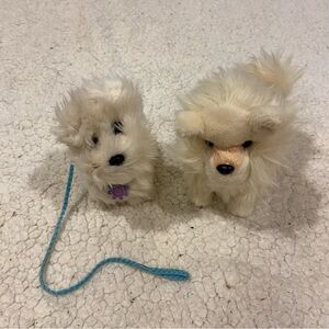 american girl doll coconut and pomeranian dog